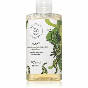 Hairy Tale Murky zklidňující šampon pro mastnou pokožku hlavy 250 ml obraz