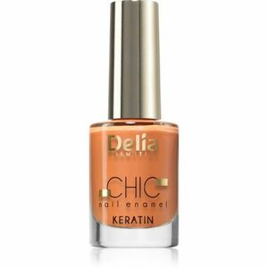 Delia Cosmetics Chic lak na nehty s keratinem odstín Perfection 07 11 ml obraz