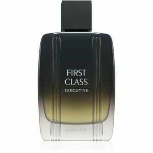 Etienne Aigner First Class Executive toaletní voda pro muže 100 ml obraz