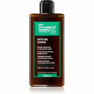 Framesi Barber Gen Fortifying posilující šampon pro slabé vlasy s tendencí vypadávat 250 ml obraz