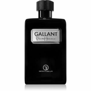 Grandeur Gallant parfémovaná voda pro muže 100 ml obraz