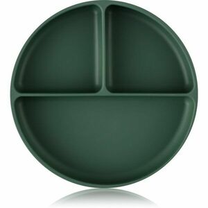 Petite&Mars Take&Match 6m+ dělený talíř kulatý Misty Green 1 ks obraz