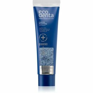 Ecodenta Expert Caries Fighting zubní pasta bez fluoridu proti zubnímu kazu 100 ml obraz
