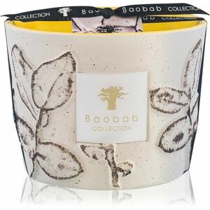 Baobab Collection Folia Calanque vonná svíčka 10 cm obraz