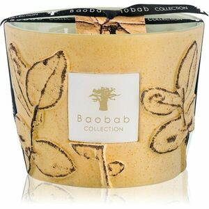 Baobab Collection Folia Garrigue vonná svíčka 10 cm obraz