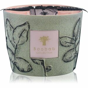 Baobab Collection Folia Maquis vonná svíčka 10 cm obraz