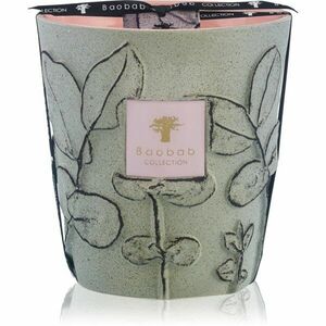 Baobab Collection Folia Maquis vonná svíčka 16 cm obraz