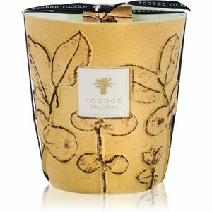 Baobab Collection Folia Garrigue vonná svíčka 16 cm obraz