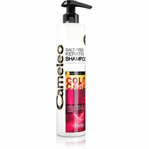 Delia Cosmetics Cameleo BB keratinový šampon pro barvené a melírované vlasy 250 ml obraz