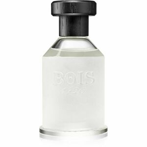 Bois 1920 Agrumi Amari di Sicilia parfémovaná voda unisex 100 ml obraz