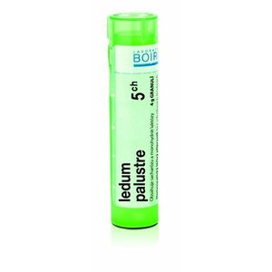 Boiron LEDUM PALUSTRE CH5 granule 4 g obraz