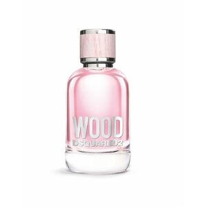 DSQUARED2 Wood pour Femme toaletní voda pro ženy 100 ml obraz