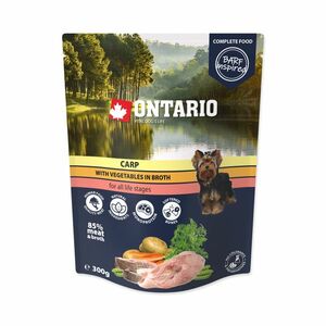 Ontario Kapr se zeleninou ve vývaru kapsička 300 g obraz