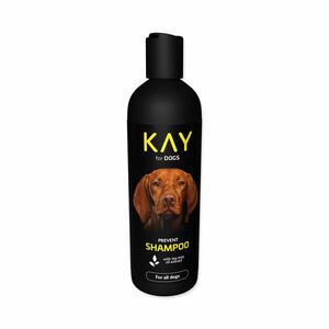KAY Šampon s tea tree olejem 250 ml obraz