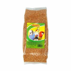 Avicentra Proso žluté 1 kg obraz