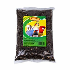 Avicentra Slunečnice černá 500 g obraz