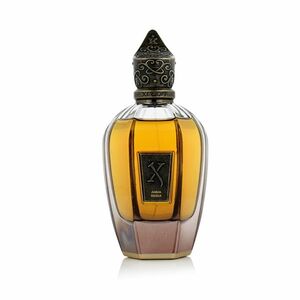 XerJoff Aqua Regia Parfém 100 ml UNISEX obraz