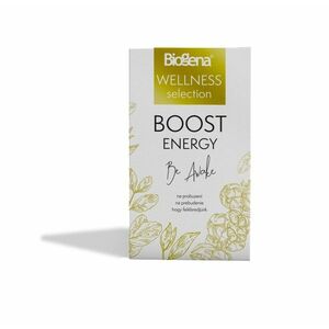 Biogena WELLNESS selection Boost energy porcovaný čaj 20x1, 8 g obraz