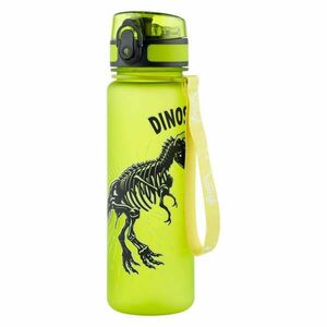 Baagl Tritanová láhev na pití Dinosaurs, 500 ml obraz