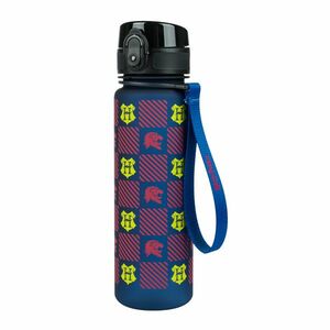 Baagl Tritanová láhev na pití Harry Potter Nebelvír, 500 ml obraz