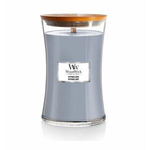 Wood Wick Vonná svíčka Hypnoflora 609 g obraz