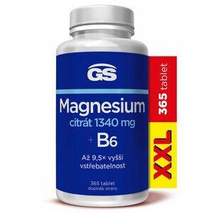 GS Magnesium citrát 1340 mg + B6 XXL 365 tablet obraz
