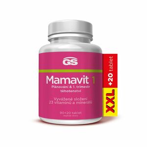 GS Mamavit 1 Plánování a 1. trimestr XXL 90+20 tablet obraz