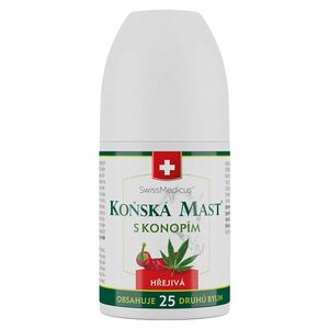 KOŇSKÁ MAST obraz