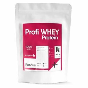 KOMPAVA Profi WHEY Protein vanilka 500 g obraz