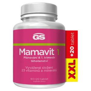GS Mamavit 1 Plánování a 1 trimestr XXL 90 + 20 tablet obraz