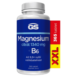 GS Magnesium citrát 1340 mg B6 XXL 365 tablet obraz