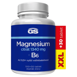 GS Magnesium citrát 1340 mg B6 XXL 100 + 30 tablet obraz