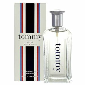 TOMMY HILFIGER Tommy EdT 100 ml obraz