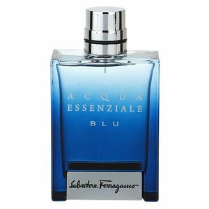 Ferragamo Acqua Essenziale Blu toaletní voda pro muže 100 ml obraz