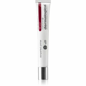 Dermalogica AGE smart Skin Perfect Primer podkladová báze pro rozjasnění a sjednocení pleti 22 ml obraz