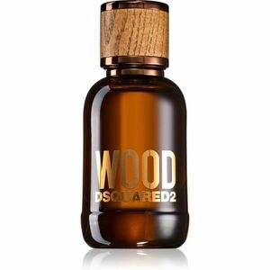 Dsquared2 Wood Pour Homme toaletní voda pro muže 50 ml obraz
