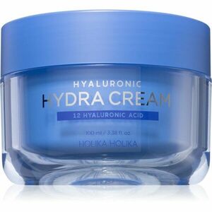 Holika Holika Hyaluronic intenzivně hydratační krém s kyselinou hyaluronovou 100 ml obraz