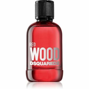 Dsquared2 Red Wood toaletní voda pro ženy 100 ml obraz