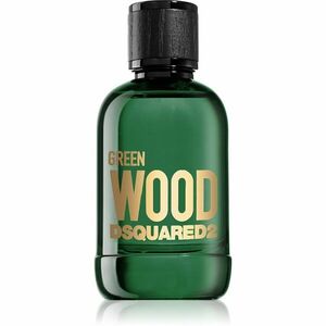 Dsquared2 Green Wood toaletní voda pro muže 100 ml obraz