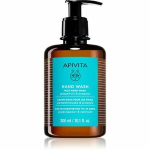 Apivita Hand Care Mild Hand Wash jemné tekuté mýdlo na ruce 300 ml obraz