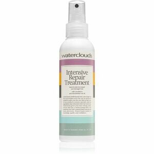 Waterclouds Intensive Repair Treatment vyživující a hydratační sprej na vlasy 150 ml obraz