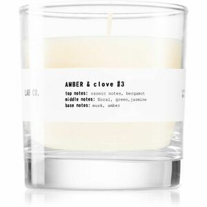 The Olphactory Lab Co. Amber & Clove vonná svíčka 200 g obraz