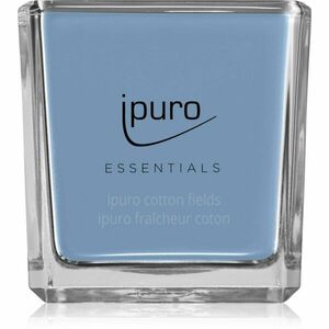 ipuro Essentials Cotton Fields vonná svíčka 125 g obraz