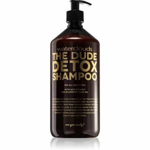 Waterclouds The Dude Detox Shampoo denní detoxikační šampon 1000 ml obraz