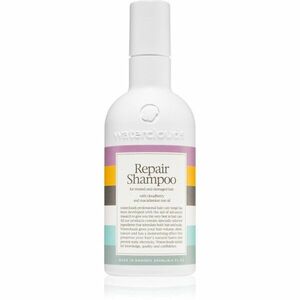 Waterclouds Repair Shampoo jemný pečující šampon 250 ml obraz