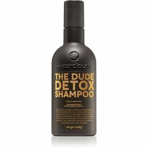 Waterclouds The Dude Detox Shampoo denní detoxikační šampon 250 ml obraz