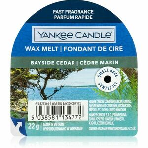 Yankee Candle Bayside Cedar vosk do aromalampy 22 g obraz