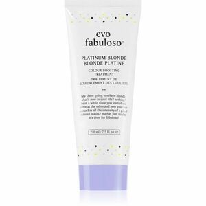 EVO Fabuloso Colour Boosting Treatment kondicionér pro zvýraznění barvy vlasů odstín Platinum Blonde 220 ml obraz