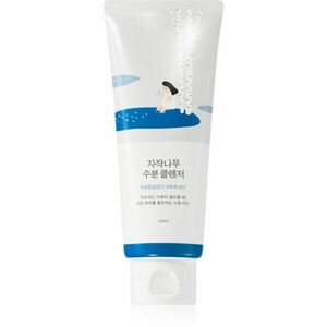 ROUND LAB Birch Juice Moisturizing Cleanser jemný pěnivý mycí gel s regeneračním účinkem 150 ml obraz