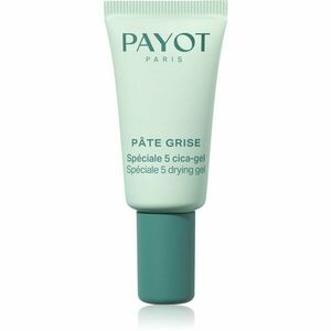 Payot Pâte Grise Spéciale 5 Cica-Gel lokální gel na akné 15 ml obraz